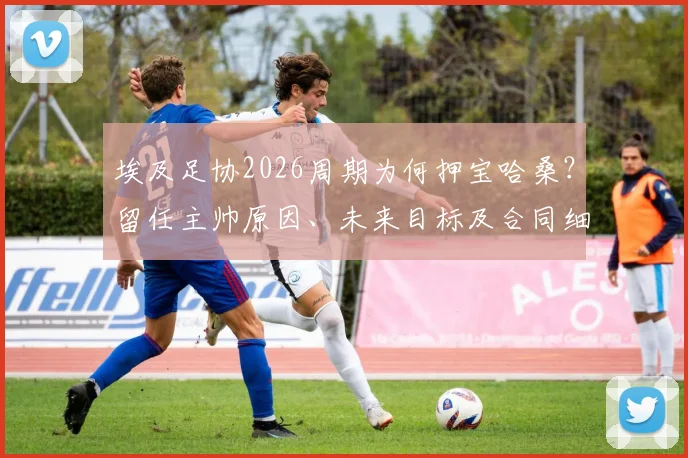 埃及足协2026周期为何押宝哈桑？留任主帅原因、未来目标及合同细节深度解读